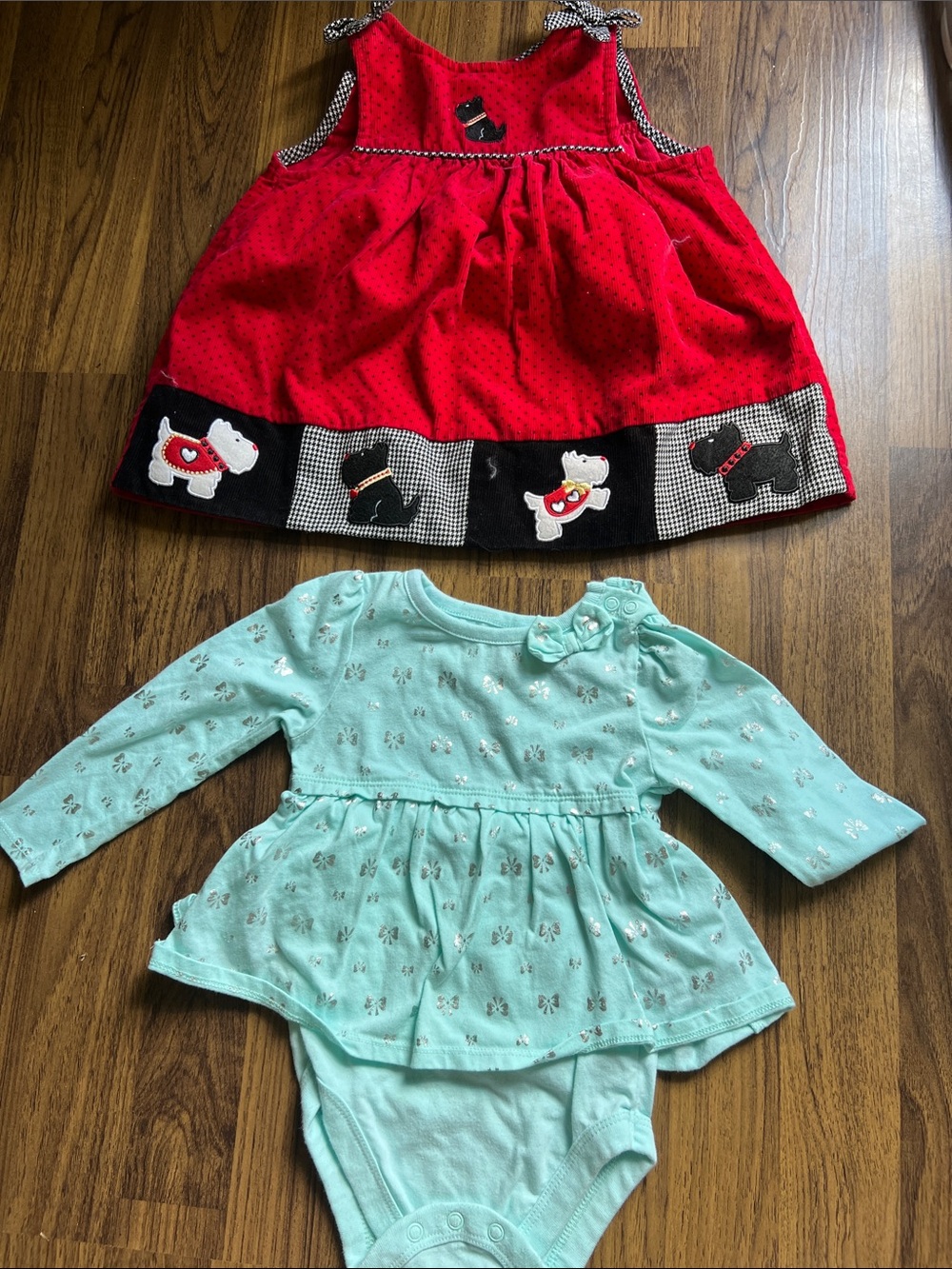 Red Puppy Appliqué Baby Dress & Mint Floral Long-Sleeve Bodysuit Set